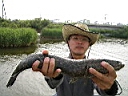 2005-06-27 028.JPG